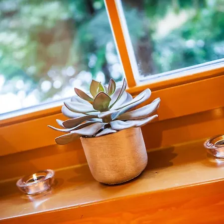 Zruby Bystra, Chopok Juh Apartment