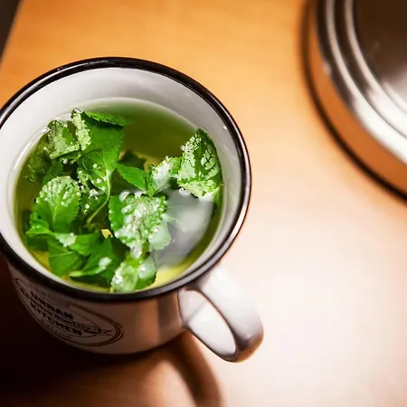 Zruby Bystra, Chopok Juh 公寓